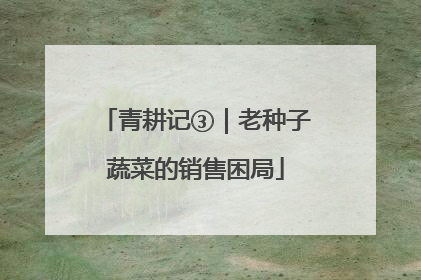 青耕记③｜老种子蔬菜的销售困局